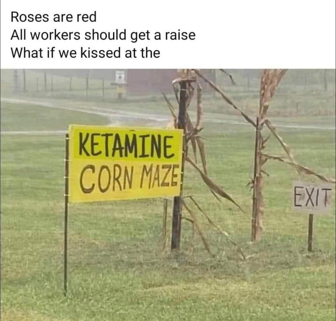 funny pic Roses are red All workers should get a raise What if we kissed at the