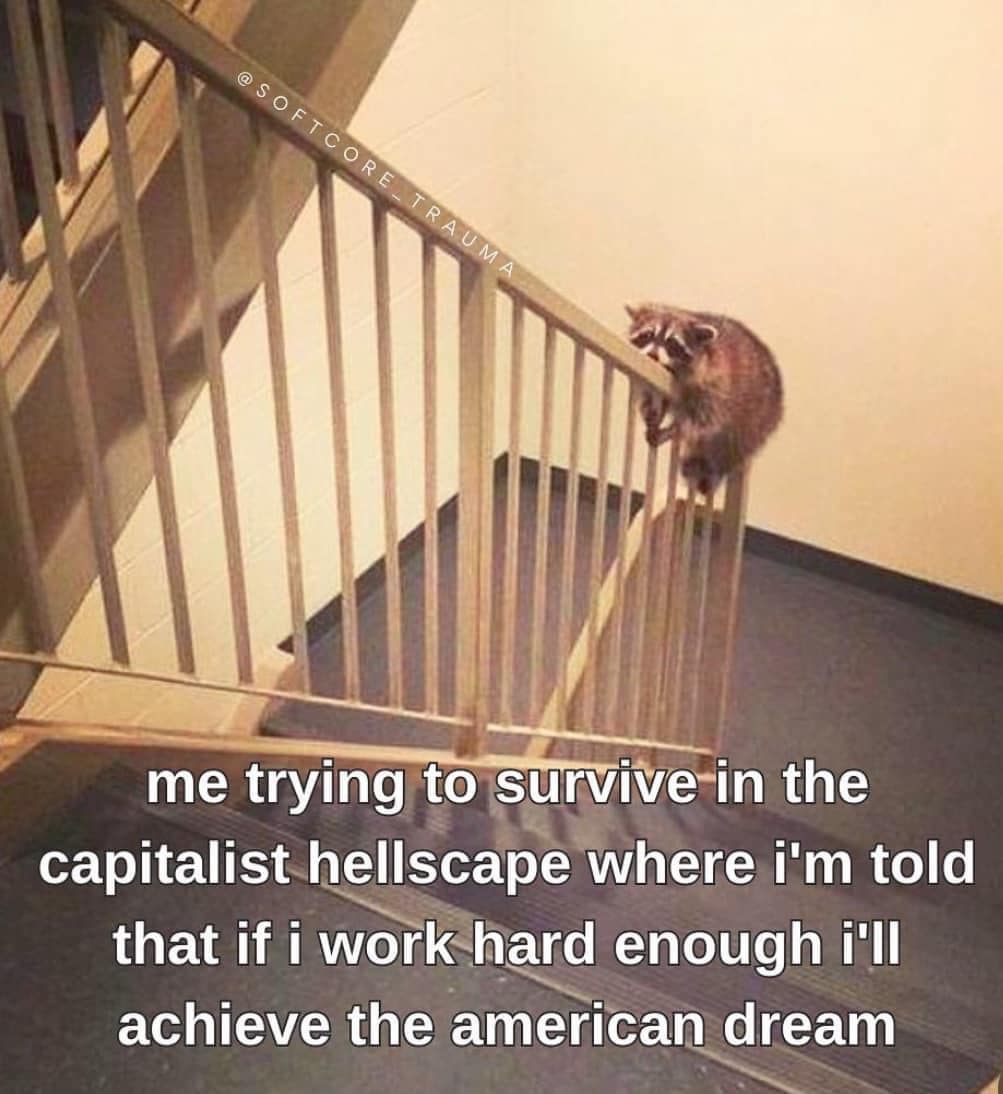 funny pics. me trying to survive in the capitalist hellscape where i'm told that if i work hard enough i'll achieve the american dream