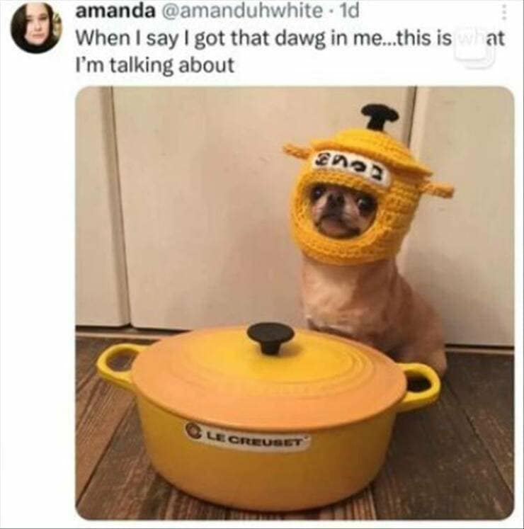 funny pics. When I say I got that dawg in me...this is I'm talking about