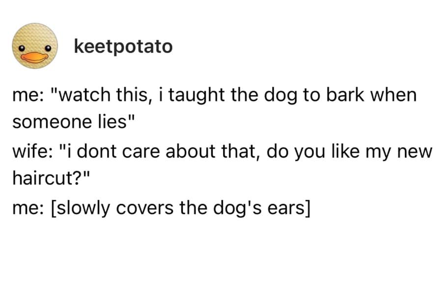 finny pics, funny memes, funny photos, funniest pictures