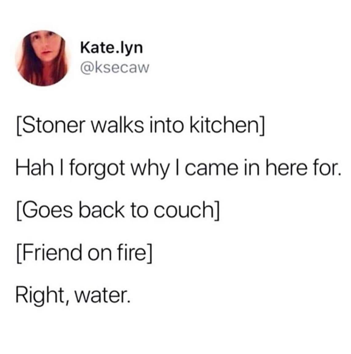 funny pics. [Stoner walks into kitchen] Hah I forgot why I came in here for. [Goes back to couch] [Friend on fire] Right, water.
