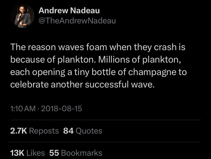 funny pics, funny memes, funny photos, funniest pictures