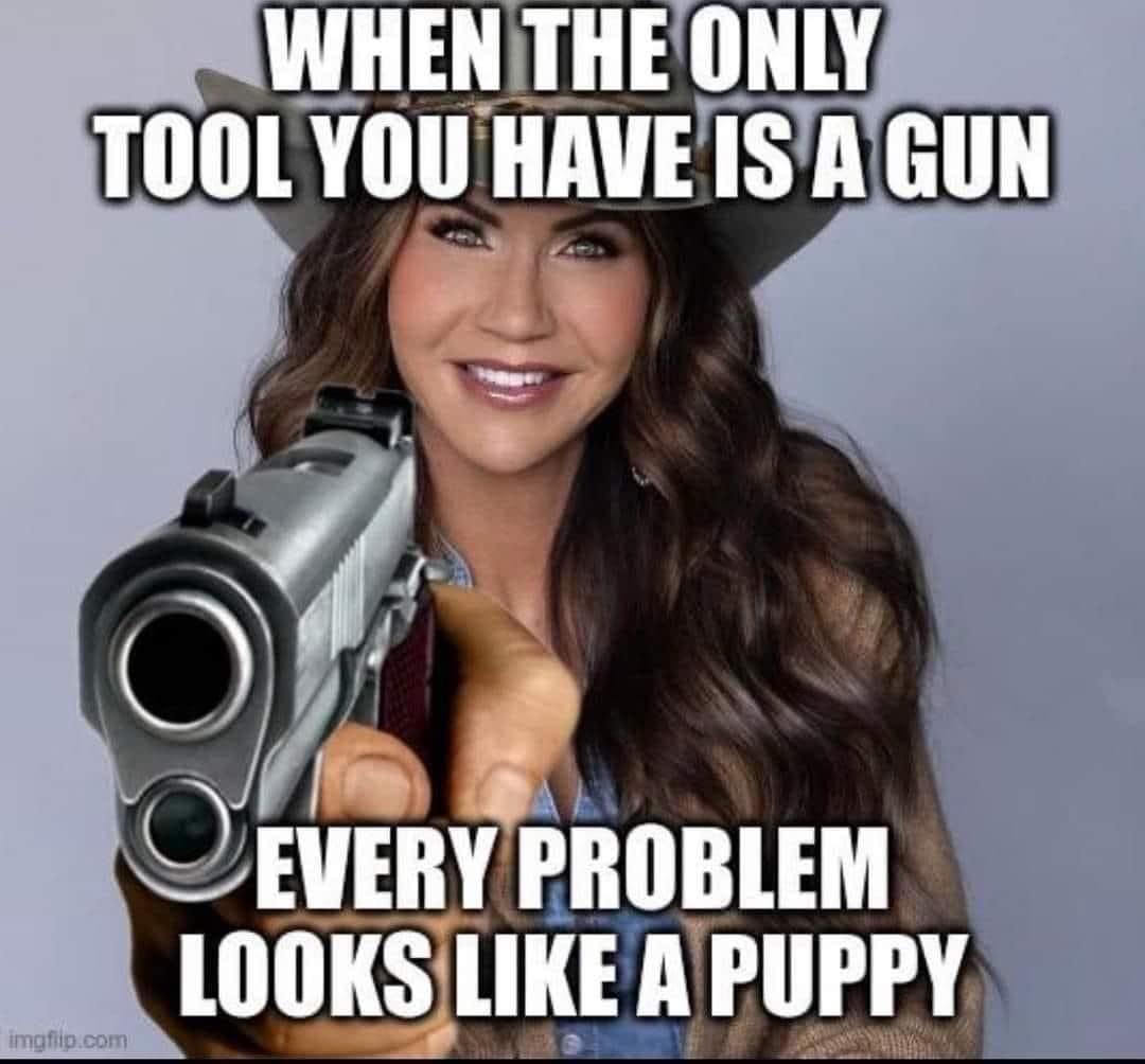 funny pics. WHEN THE ONLY TOOL YOU HAVE IS A GUN EVERY PROBLEM LOOKS LIKE A PUPPY