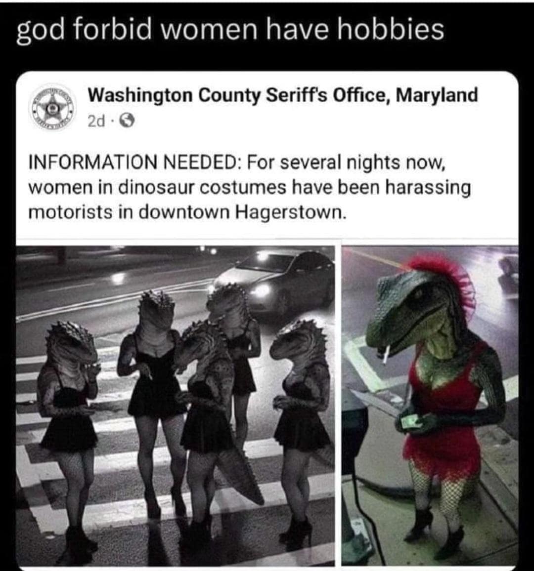 funny pics. INFORMATION NEEDED: For several nights now, women in dinosaur costumes have been harassing motorists in downtown Hagerstown.