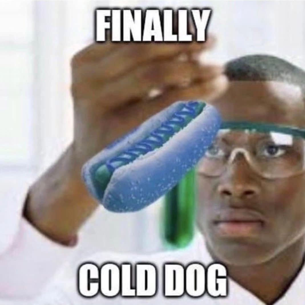funny pics. FINALLY COLD DOG