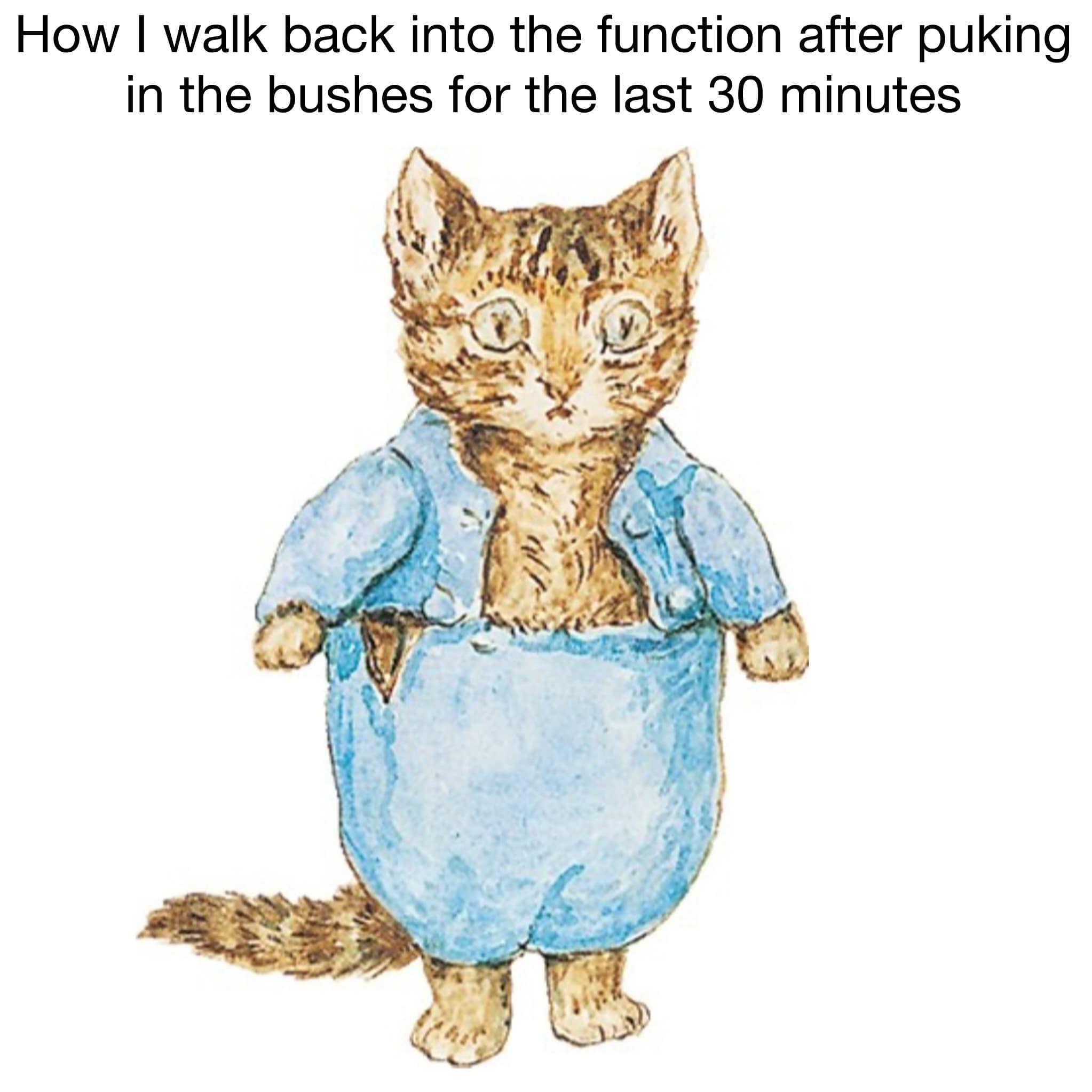 funny pics. How I walk back into the function after puking in the bushes for the last 30 minutes