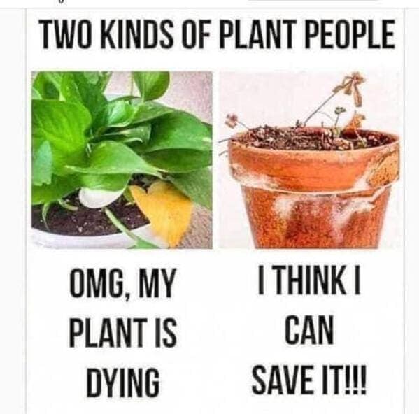 35 Gardening Memes Because You Can't Buy Happiness, But You Can Buy Plants