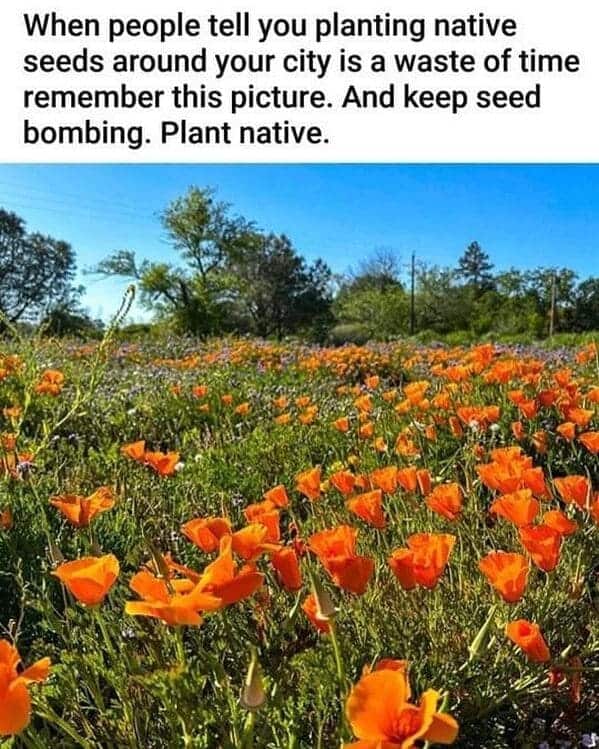 35 Gardening Memes Because You Can't Buy Happiness, But You Can Buy Plants