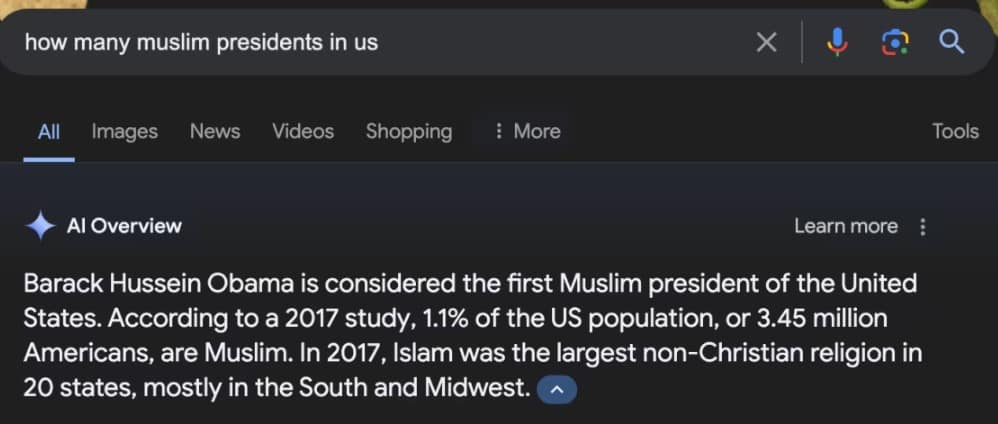 google ai search memes, google ai overview memes, ai overview memes, Google AI memes, Google AI funny results, Google AI search jokes, Google AI query humor