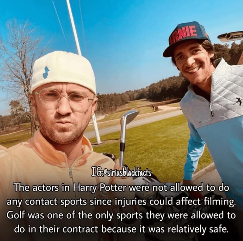 harry potter facts, harry potter trivia, Wizarding World Secrets, Hogwarts Mysteries, Magical Details, Hidden Lore, Potterverse