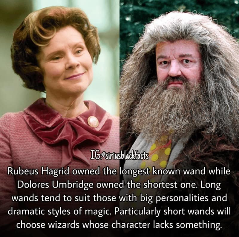 harry potter facts, harry potter trivia, Wizarding World Secrets, Hogwarts Mysteries, Magical Details, Hidden Lore, Potterverse