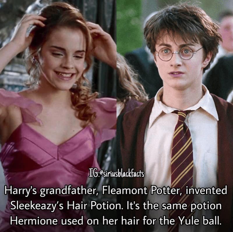 harry potter facts, harry potter trivia, Wizarding World Secrets, Hogwarts Mysteries, Magical Details, Hidden Lore, Potterverse