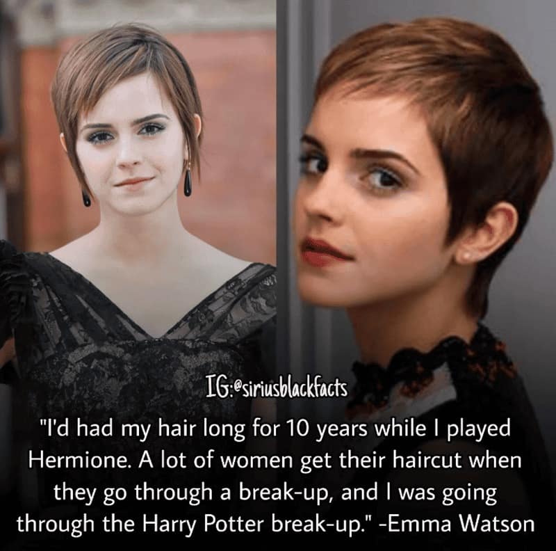 harry potter facts, harry potter trivia, Wizarding World Secrets, Hogwarts Mysteries, Magical Details, Hidden Lore, Potterverse