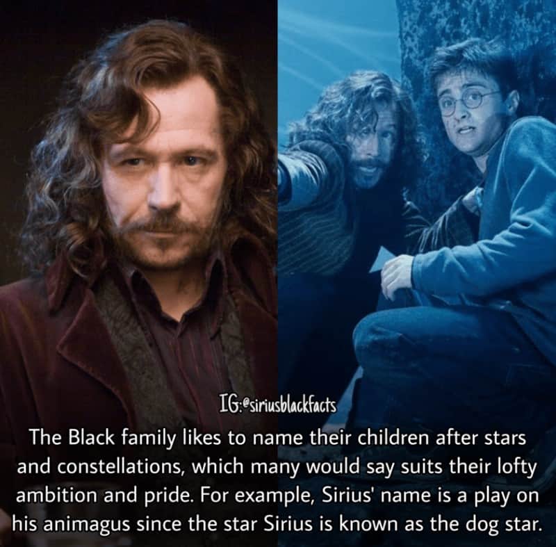 harry potter facts, harry potter trivia, Wizarding World Secrets, Hogwarts Mysteries, Magical Details, Hidden Lore, Potterverse
