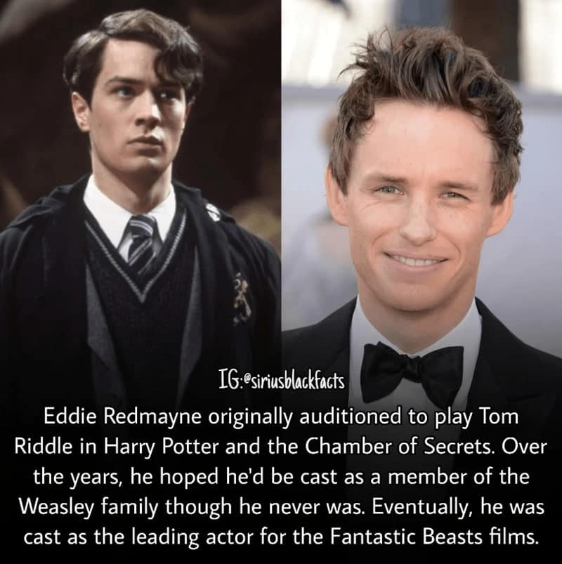 harry potter facts, harry potter trivia, Wizarding World Secrets, Hogwarts Mysteries, Magical Details, Hidden Lore, Potterverse