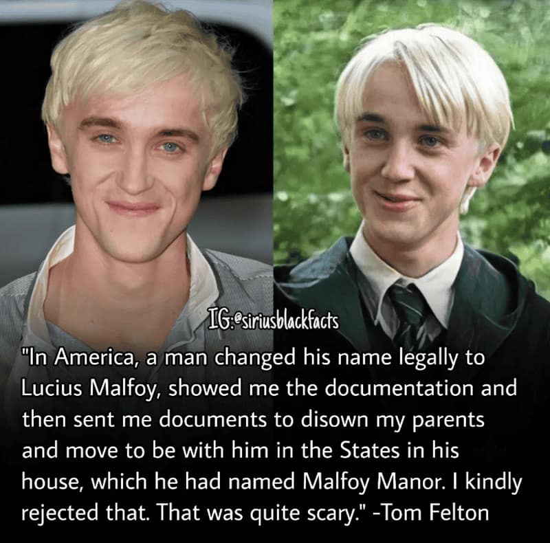 harry potter facts, harry potter trivia, Wizarding World Secrets, Hogwarts Mysteries, Magical Details, Hidden Lore, Potterverse