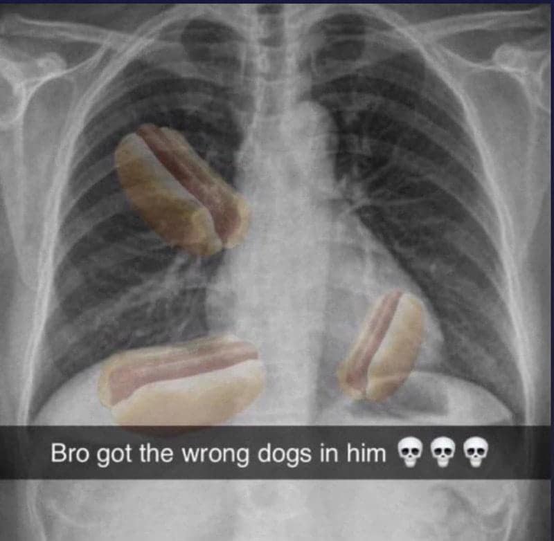 hotdog memes. Bro got the wrong dogs in him