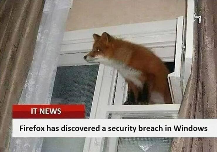 it memes. Firefox has discovered a security breach in Windows
