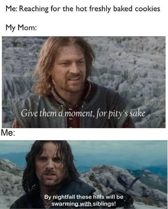lotr memes, lord of the rings memes, tolkien memes, Lord of the Rings jokes, Funny Middle-earth memes, Hobbit memes, Fantasy parody memes