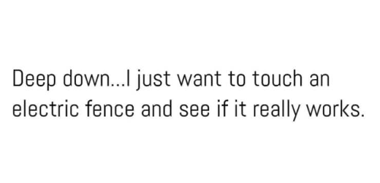 meme dump, funny memes, hilarious memes