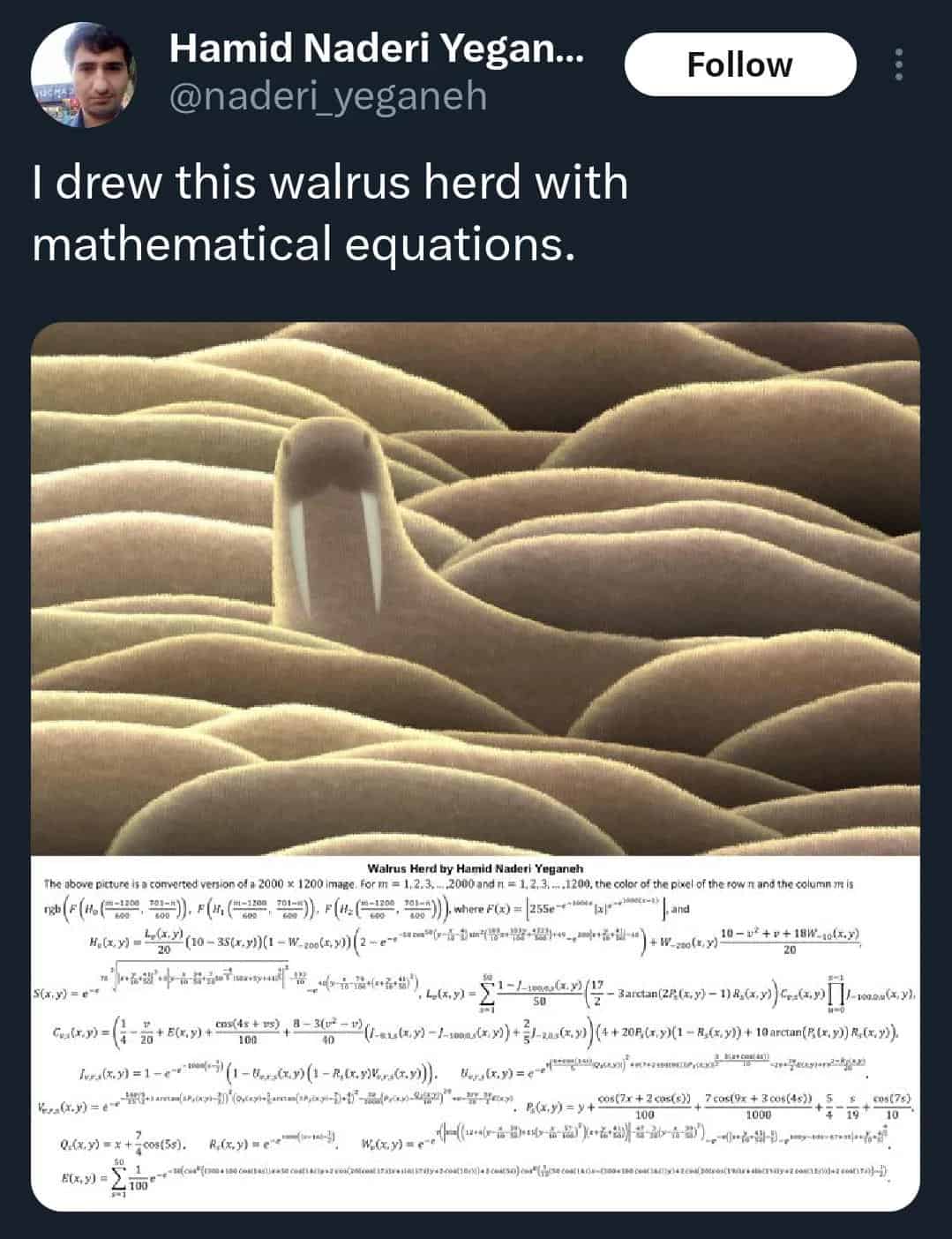 men being chaotic. I drew this walrus herd with mathematical equations.