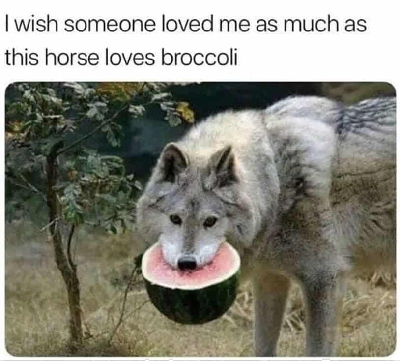 mental health memes, mental health humor, Anxiety memes, Mental health struggles hilarity, emotional wellbeing comic relief, therapy session giggles