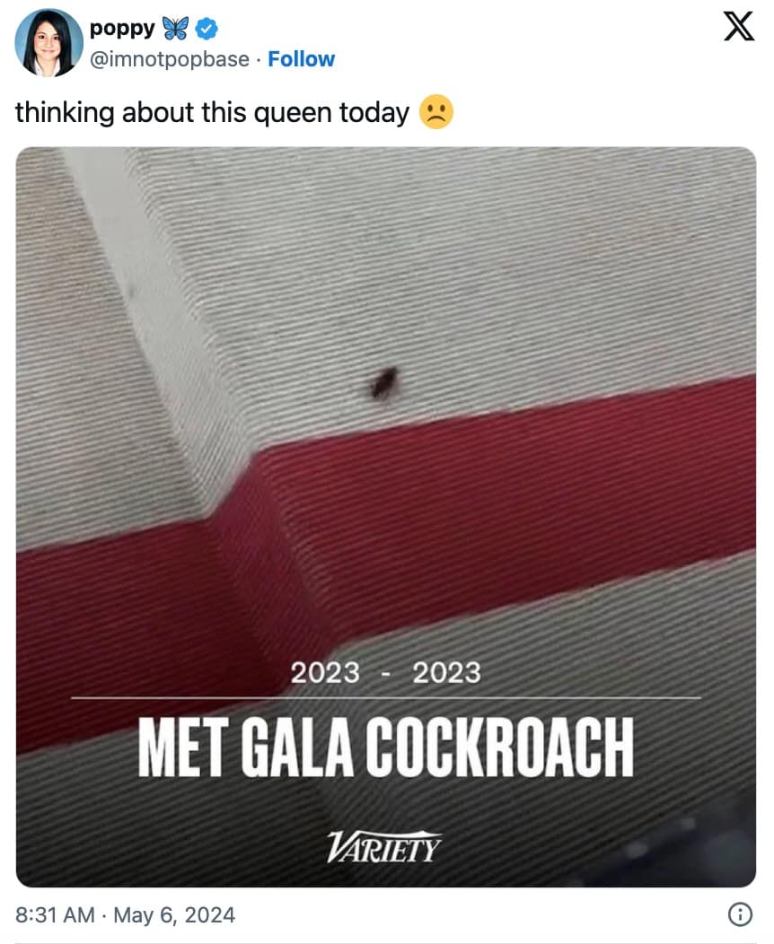 met gala 2024 memes, met gala memes, met gala outfits, met gala, met gala 2024