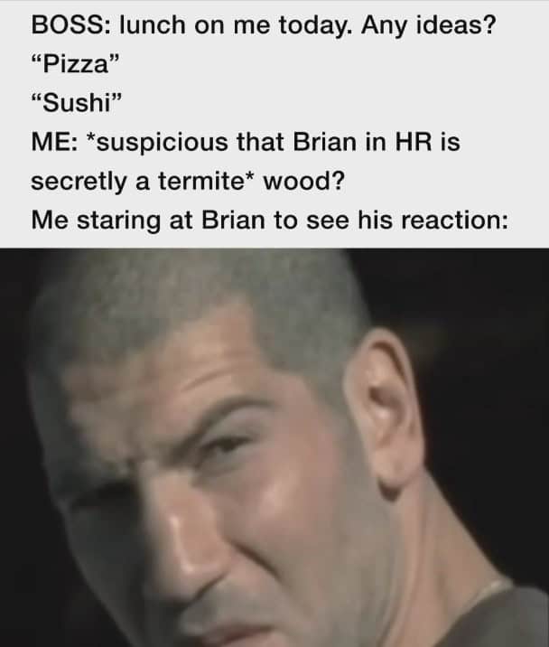 oddly specific memes, niche memes, specific interest memes, obscure online jokes, targeted humor memes