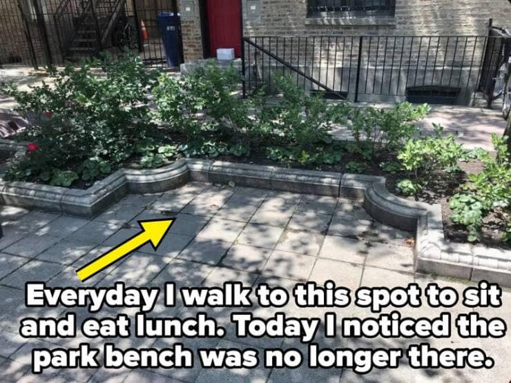 Everyday I walk to this spot to sit and eat lunch. Today I noticed the park bench was no longer there.