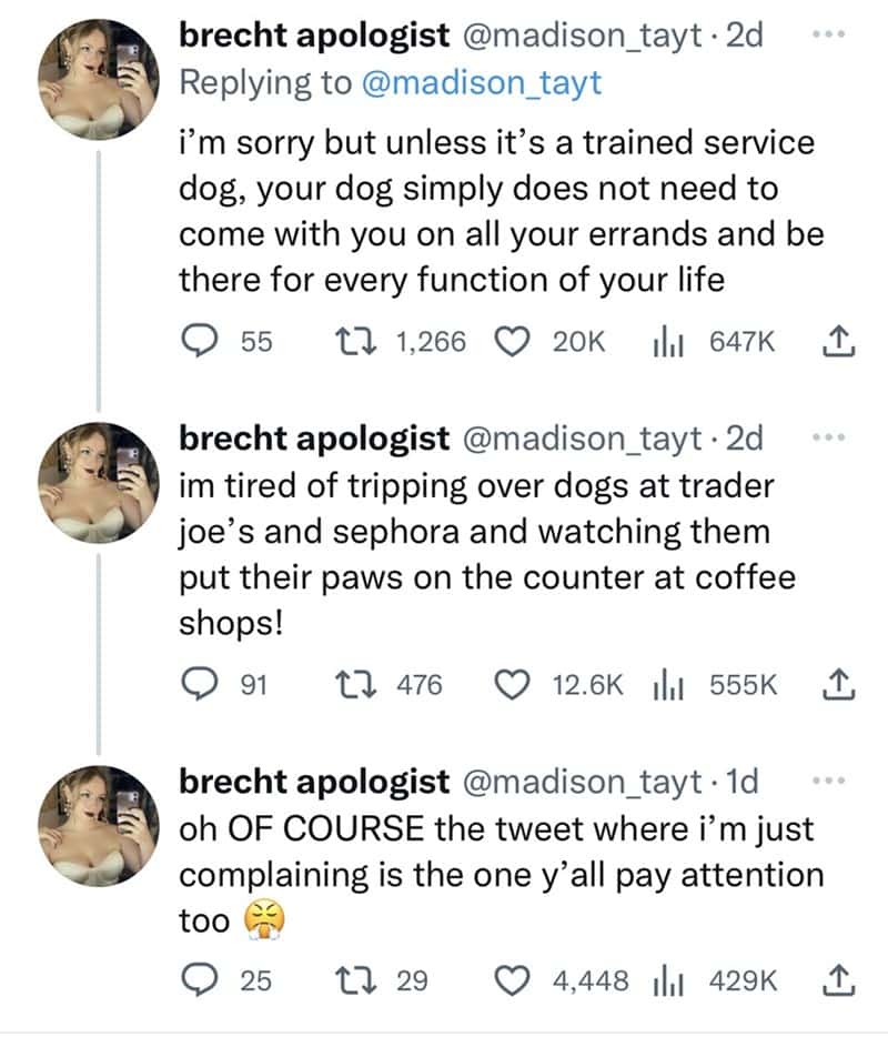 i'm sorry but unless it's a trained service dog, your dog simply does not need to come with you on all your errands and be there for every function of your life
