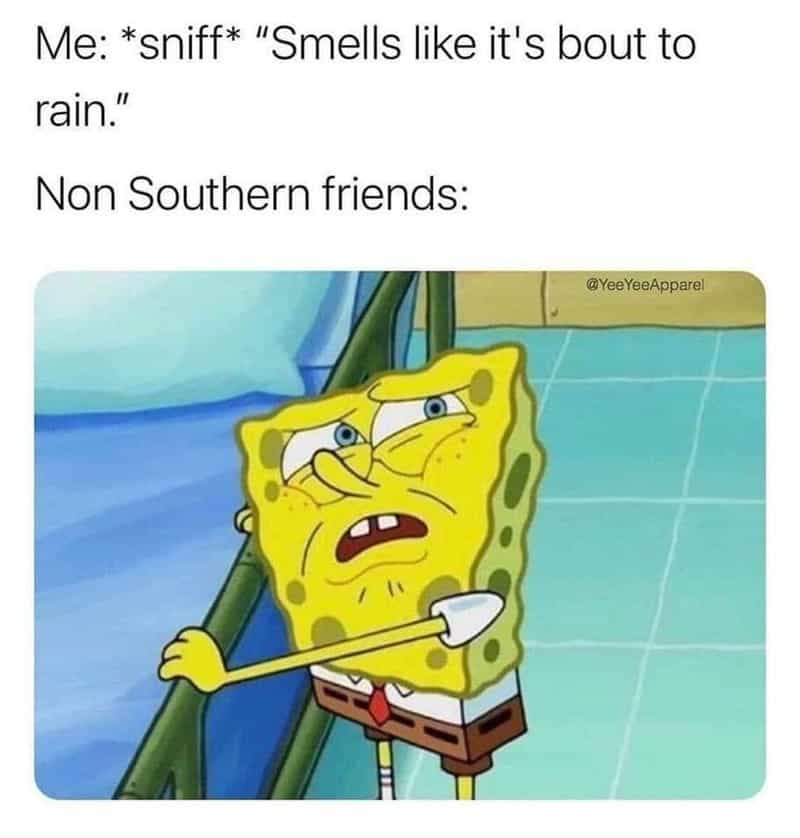 Southern memes, Funny Southern humor, redneck humor, country humor, Sweet tea memes, Southern food memes, comfort food memes,