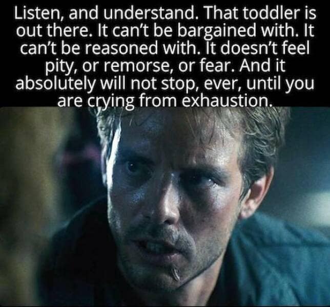 Terminator memes, Terminator Jokes, Arnold Schwarzenegger Memes ,Funny Terminator References