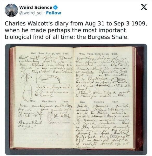 40 Weird Science Facts That Will Make You Question Everything You ...