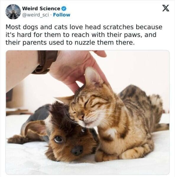 40 Weird Science Facts That Will Make You Question Everything You ...