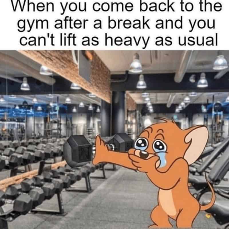 workout memes, gym memes, fitness humor, gym jokes, exercise laughter, exercise memes, fitness funnies, workout humor