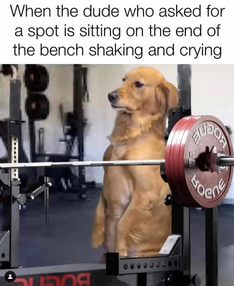 workout memes, gym memes, fitness humor, gym jokes, exercise laughter, exercise memes, fitness funnies, workout humor
