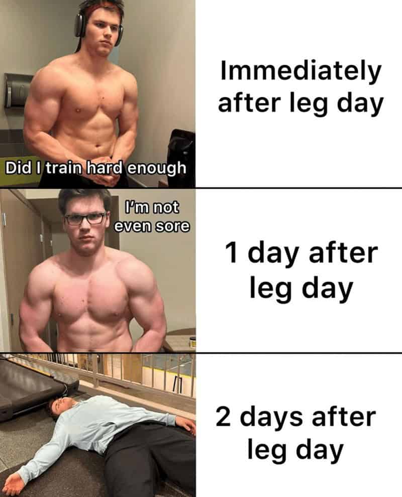 workout memes, gym memes, fitness humor, gym jokes, exercise laughter, exercise memes, fitness funnies, workout humor