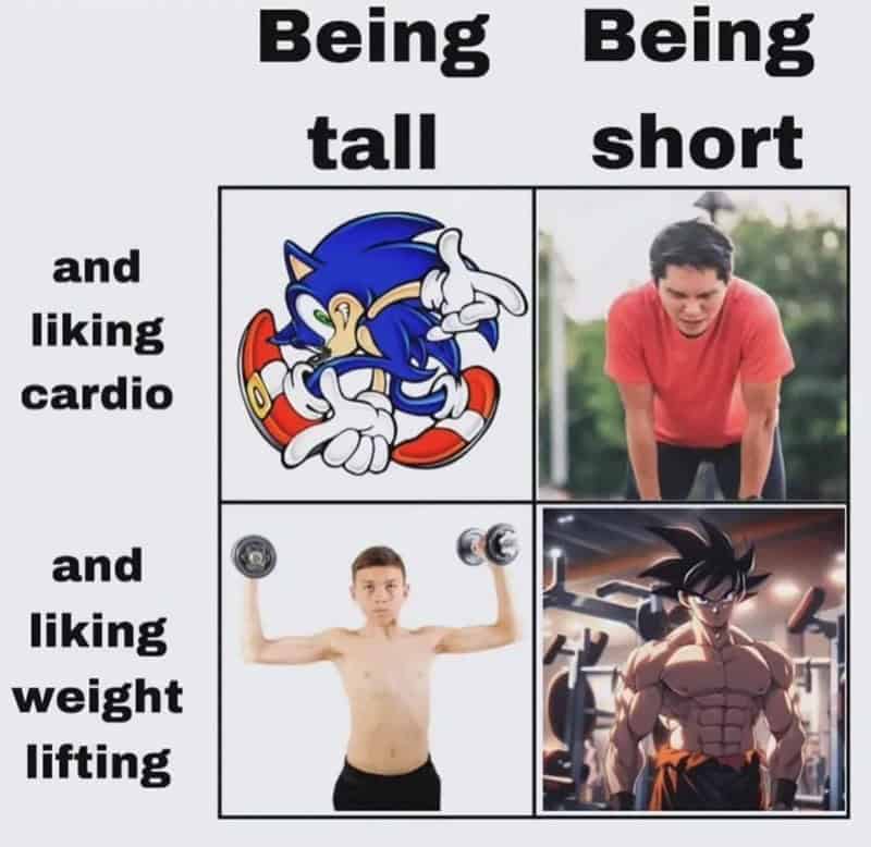 workout memes, gym memes, fitness humor, gym jokes, exercise laughter, exercise memes, fitness funnies, workout humor