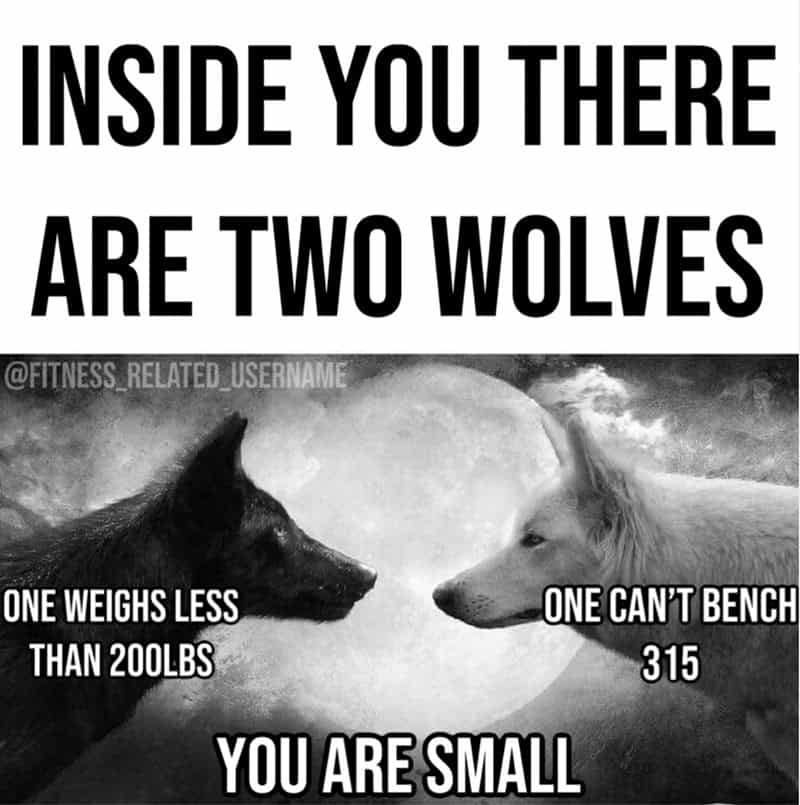 workout memes, gym memes, fitness humor, gym jokes, exercise laughter, exercise memes, fitness funnies, workout humor