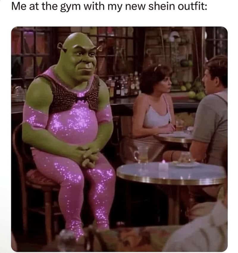 workout memes, gym memes, fitness humor, gym jokes, exercise laughter, exercise memes, fitness funnies, workout humor