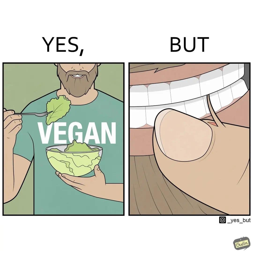 yes but comics, Funny Webcomics, Witty Comic Strips