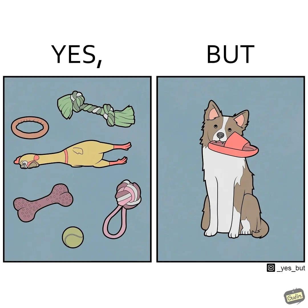 yes but comics, Funny Webcomics, Witty Comic Strips