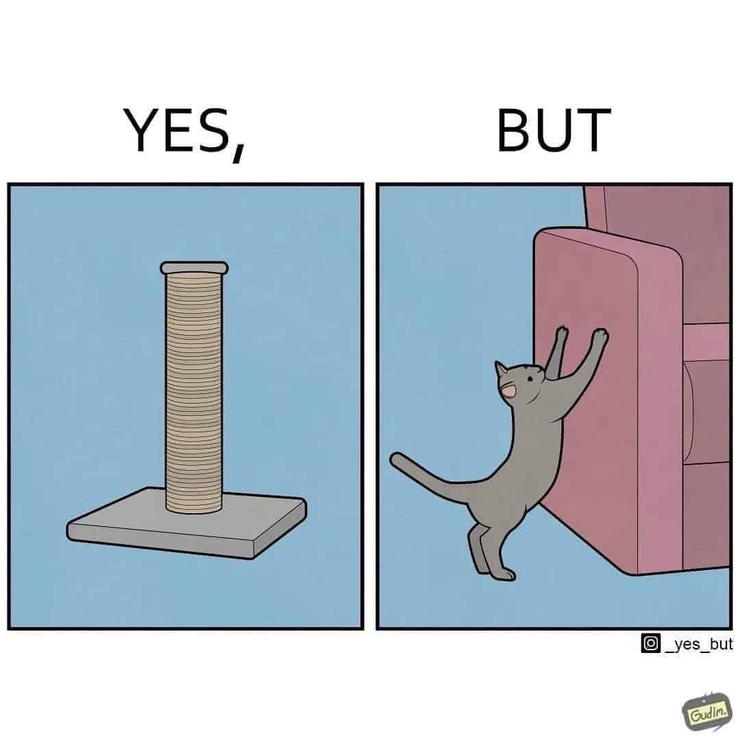 yes but comics, Funny Webcomics, Witty Comic Strips