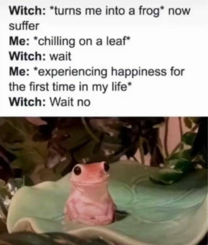 animal memes, pet memes, funny animal pictures, hilarious pet moments, animal jokes, pet humor, funny animal memes