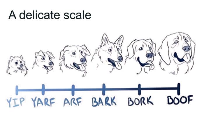 animal memes, funny animal jokes, pet humor, wildlife memes, creature comedy, furry funnies, zoological humor