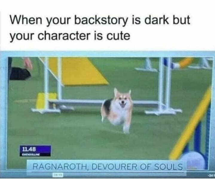 animal memes, grumpy animals, grumpy cat memes, pet memes, funny animal memes