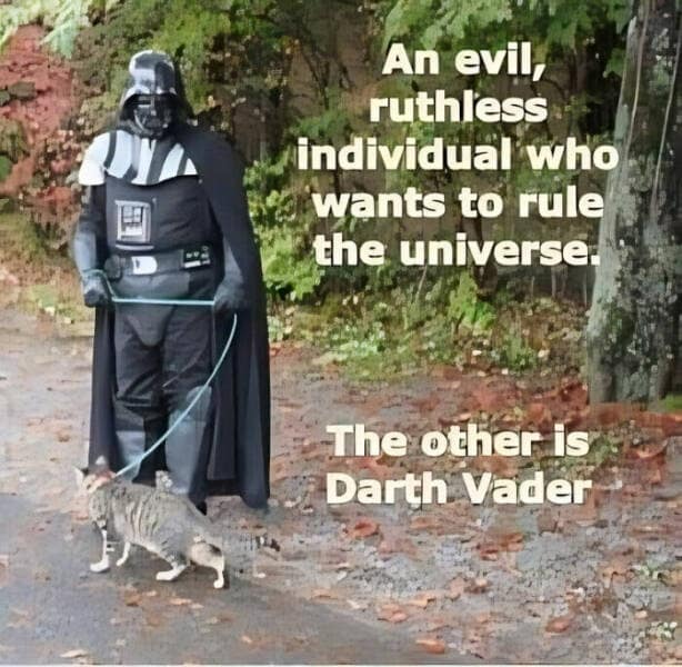 animal memes, grumpy animals, grumpy cat memes, pet memes, funny animal memes