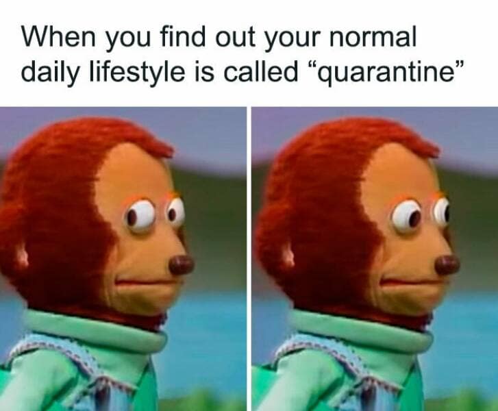 antisocial memes. When you find out your normal daily lifestyle is called "quarantine"