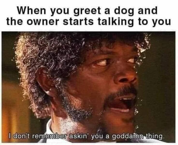antisocial memes. When you greet a dog and the owner starts talking to you I don't remember askin' you a goddamn thing.