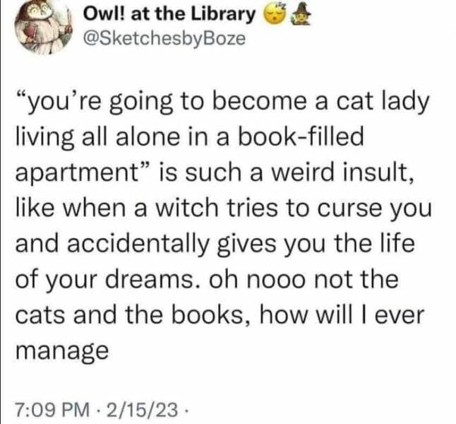 antisocial memes. "you're going to become a cat lady living all alone in a book-filled apartment" is such a weird insult, like when a witch tries to curse you and accidentally gives you the life of your dreams. oh nooo not the cats and the books, how will I ever manage